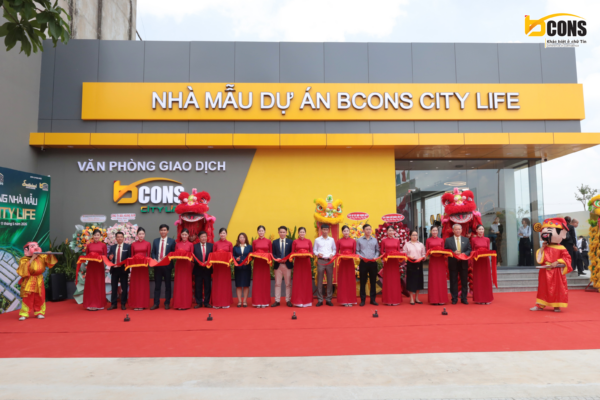Tổng quan dự án Bcons City Life tại Tân Uyên